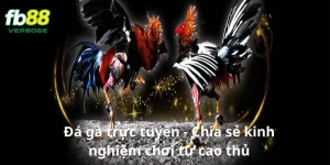 Đá gà trực tuyến