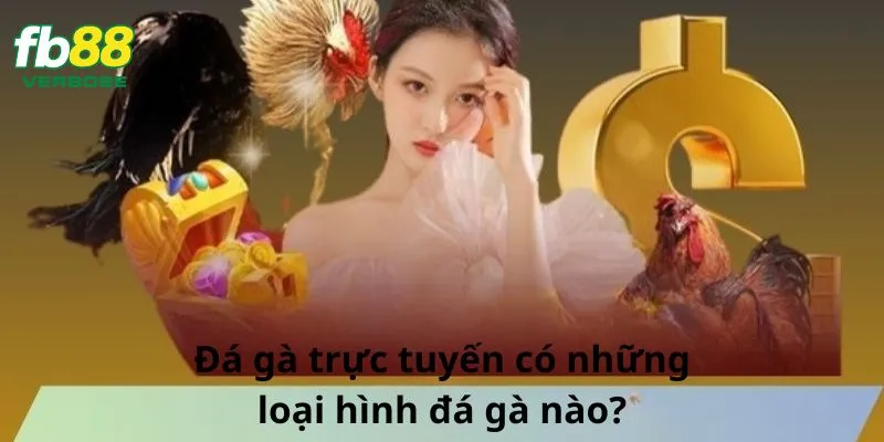 Những loại hình chơi đá gà trực tuyến phổ biến